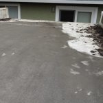 Raccoon latrine. Soquel.