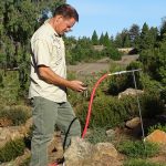 Donating time to help remove ground squirrels and gophers. Santa Cruz Arboretum. 