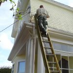 Evisting a raccoon family from an old Victorian home. Monterey.