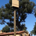 Bat box installed as part of a colony eviction. Santa Lucia Preserve.