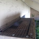 Preventing raccoons from getting back into a column. Los Angeles.