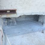 Shoring up a building. Santa Cruz.