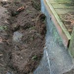 Burying wire to prevent skunks from digging under. Monterey.